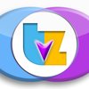 Tagzidy