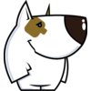 BEERDOG