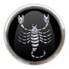 Scorpio Digital
