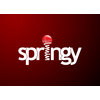Springy LLC