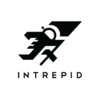 Intrepid Pursuits