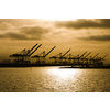 Port Of Call