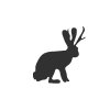 Jackalope Media