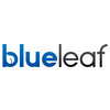 Blueleaf