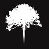 Monkey Puzzle Media