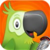 The Social Radio
