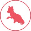 DogSync