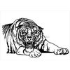Tiger Property Investments
