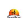 Mavuno Harvest