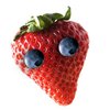 Berry Brains