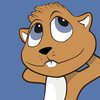 Squirrel & Company