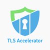 TLS Accelerator