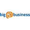 BigAtBusiness 