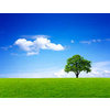 NanoNutrition Laboratories