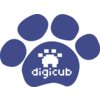 Digicub