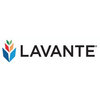 Lavante
