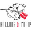 BulldogTulip