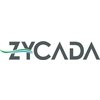 Zycada Networks