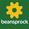 Beansprock