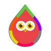 The Wash Owl