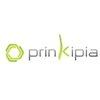 Prinkipia