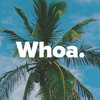 WhoaInc.