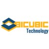 Bicubic Technology