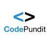 CodePundit