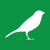 Canary