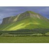 Corknsligo Holdings LLC 