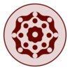 OOSYNAPSE