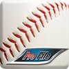 ProFile Sports LLC