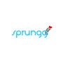Sprungg 