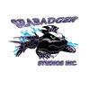 Sea Badger Studios