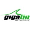 GigaFin Networks