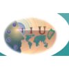 IIU (International Investment and Underwriting)