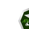 AVI Green