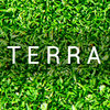 Terra