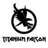 Titanium Falcon Inc