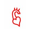 State of The Heart Innovations