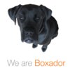 Boxador
