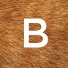 BARK