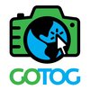 Gotog