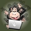 Test Monkey