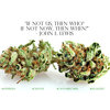 420MEDIA