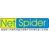 NETSPIDER