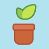 LearnSprout