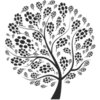 Open Data Registry