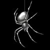 spider.io
