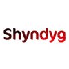 Shyndyg